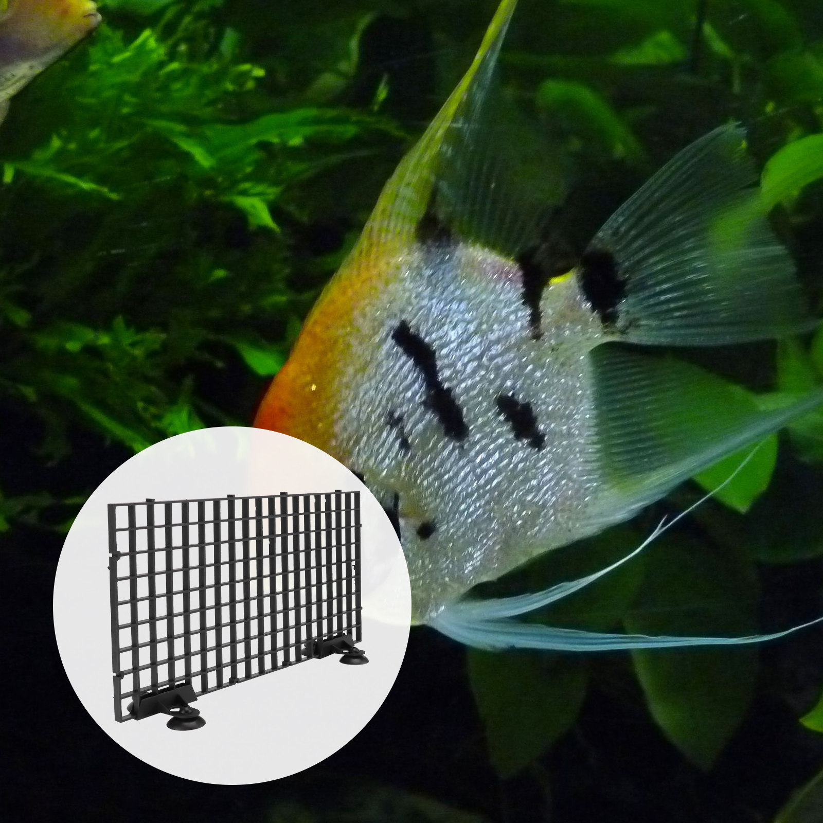Fish Breeder Net Hatchery for  - огляд і ціна Aquarium Fish Big Size