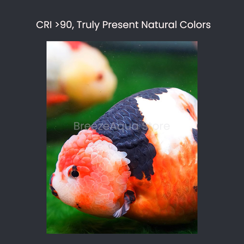 MAYIN Super Colour 100W Freshw - огляд і ціна Aquarium Fish Goldfish