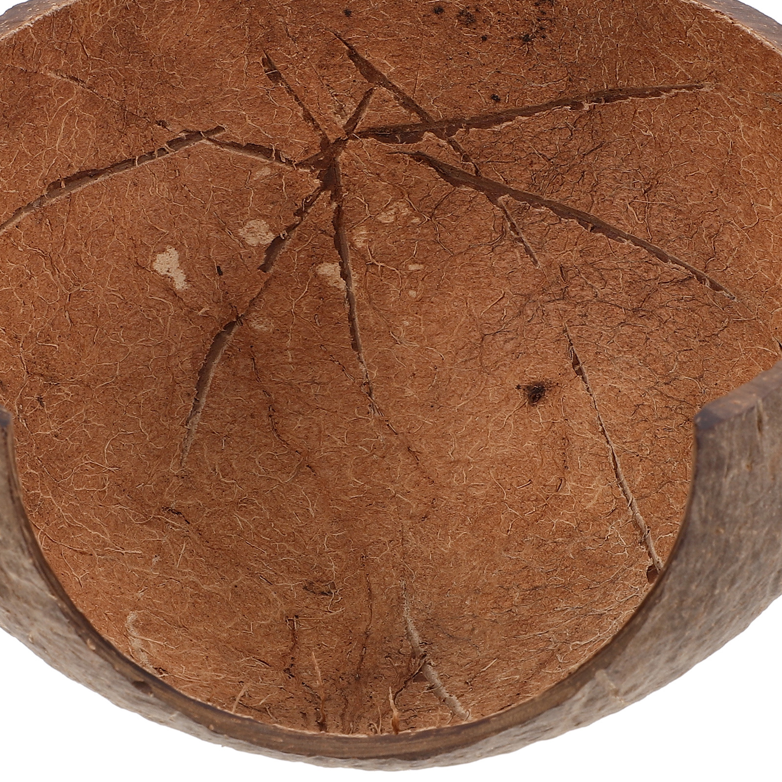 Coconut Shell Hideout Reptile  - огляд і ціна Aquarium Fish Hide