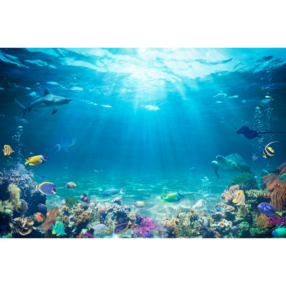 Underwater World Seabed Backdr - огляд і ціна Aquarium Fish World