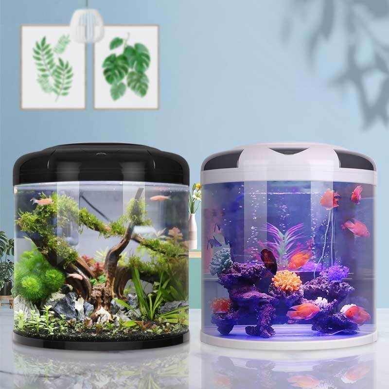 Fish tank living room Semicirc - огляд і ціна Aquarium Fish Goldfish