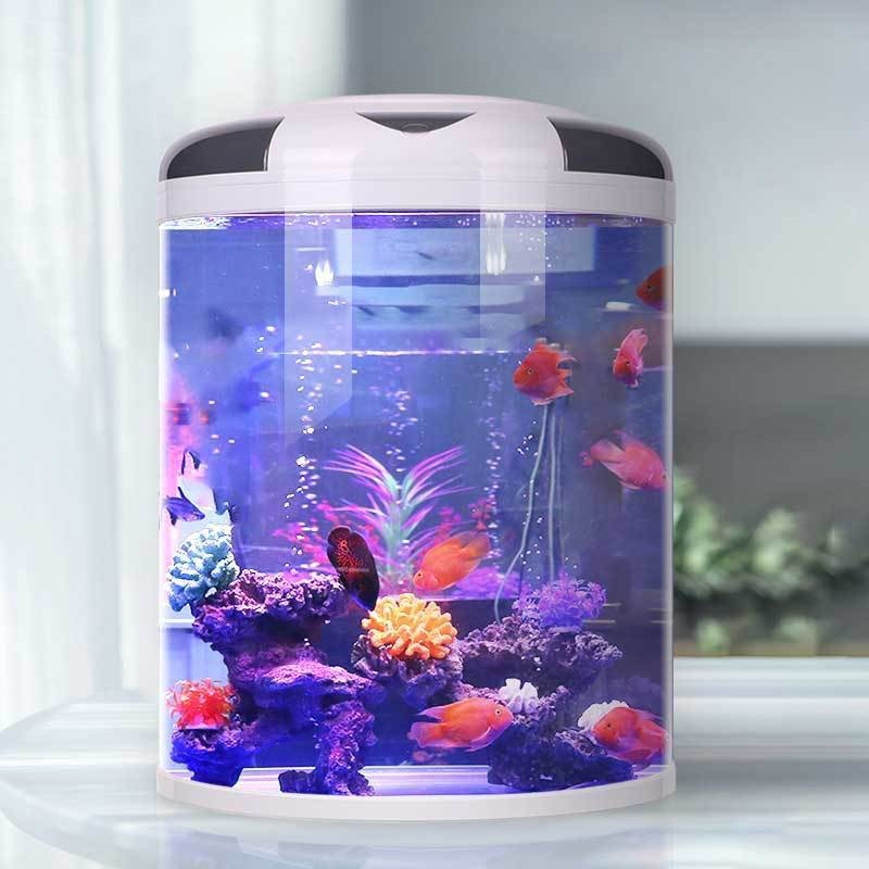 Fish tank living room Semicirc - огляд і ціна Aquarium Fish Goldfish
