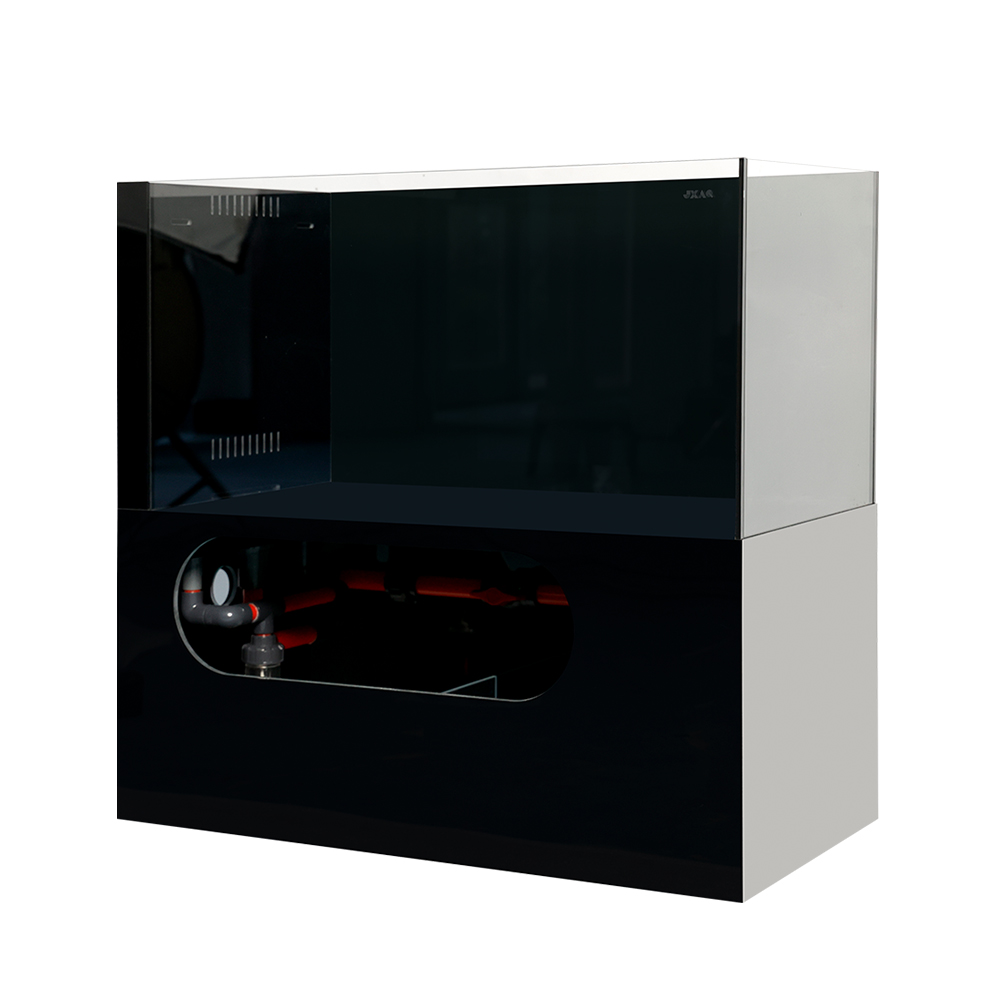 Factory Price Ecological Deskt - огляд і ціна Aquarium Fish And Price