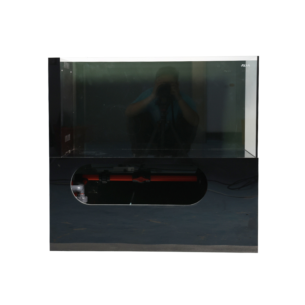 Factory Price Ecological Deskt - огляд і ціна Aquarium Fish And Price