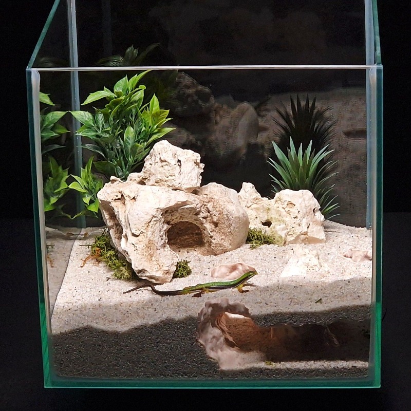 3DPrinted Fish Tank Tunnel She - огляд і ціна Aquarium Fish Hide
