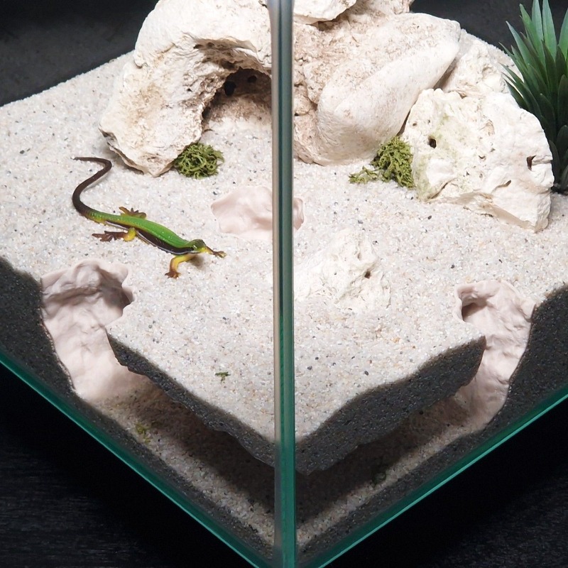 3DPrinted Fish Tank Tunnel She - огляд і ціна Aquarium Fish Hide