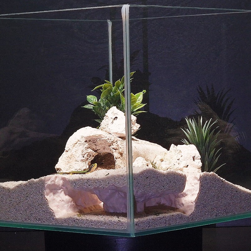 3DPrinted Fish Tank Tunnel She - огляд і ціна Aquarium Fish Hide