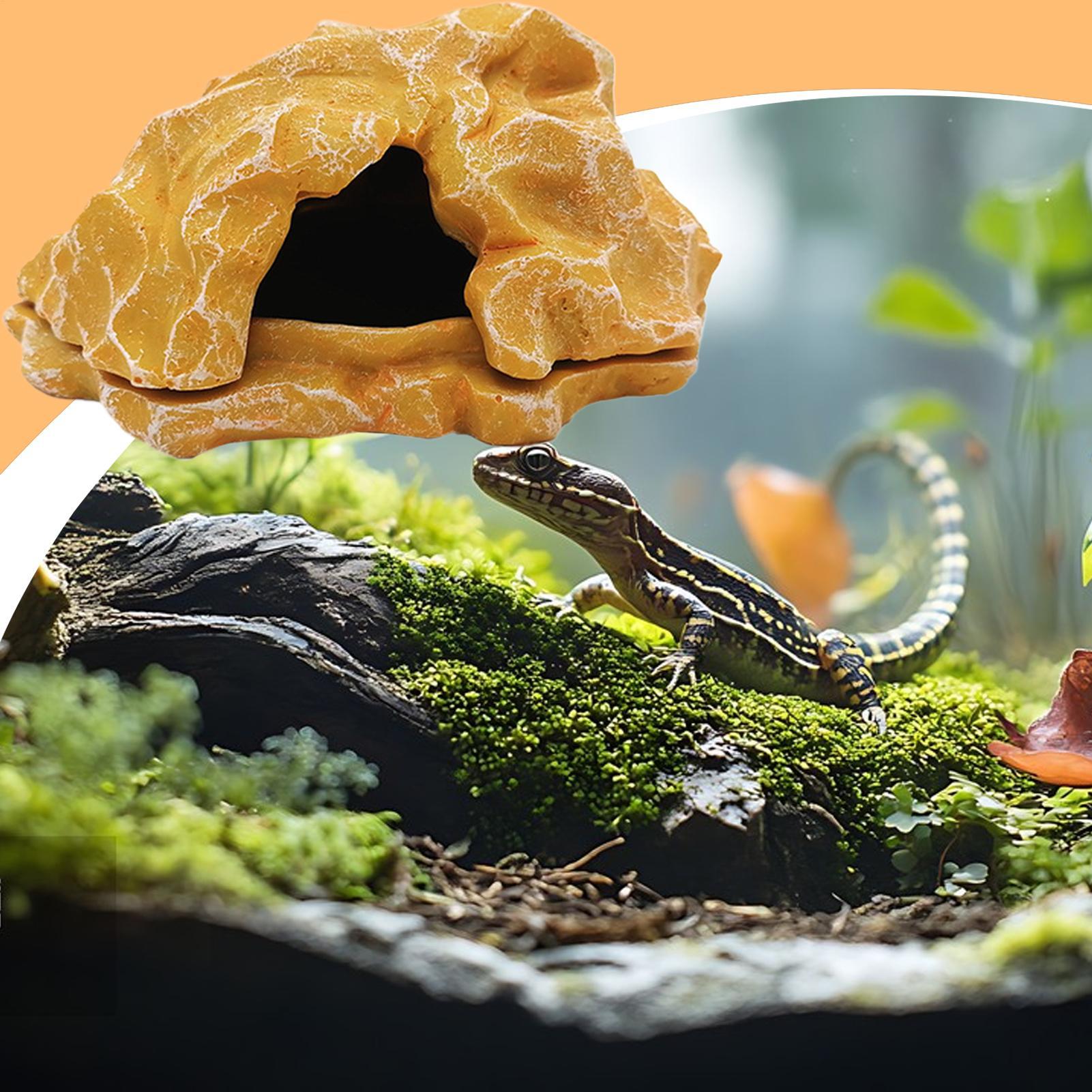 Lizard House Terrarium Resin F - огляд і ціна Aquarium Decoration Rock