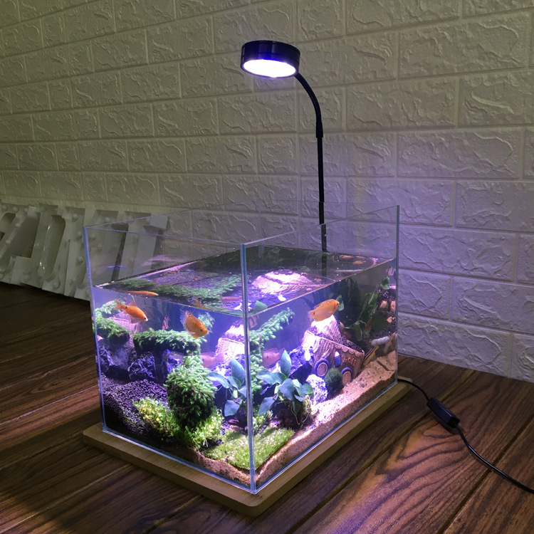 Right Angle Ultra-white Grass  - огляд і ціна Aquarium Fish And Price