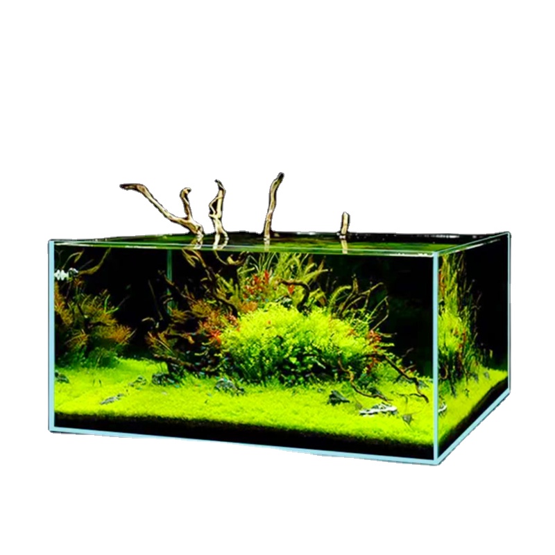 Right Angle Ultra-white Grass  - огляд і ціна Aquarium Fish And Price