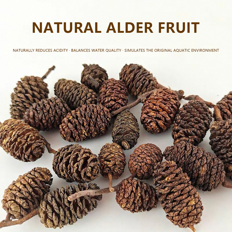 20pcs/lot Alder Cones Anti-Bac - огляд і ціна Aquarium Fish Diseases