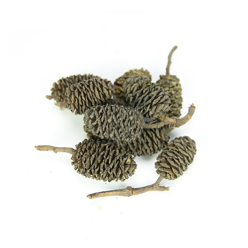 20pcs/lot Alder Cones Anti-Bac - огляд і ціна Aquarium Fish Diseases
