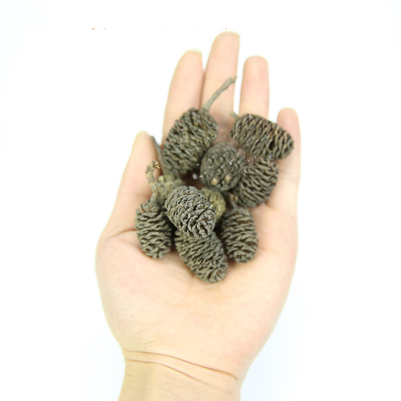 20pcs/lot Alder Cones Anti-Bac - огляд і ціна Aquarium Fish Diseases