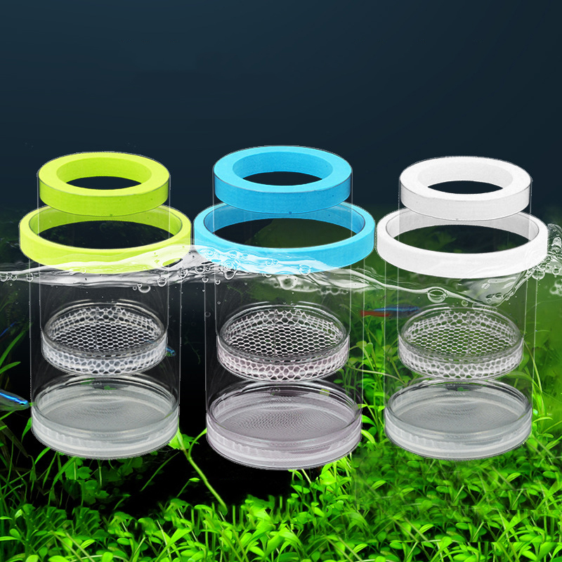 Aquarium Fish Tank Hatching In - огляд і ціна Box Fish In Aquarium