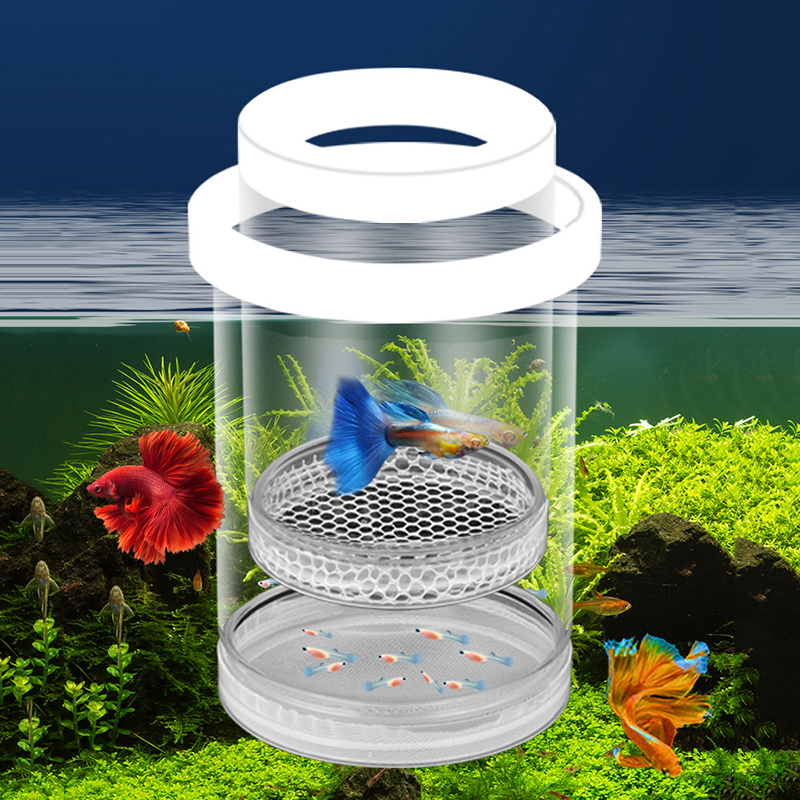 Aquarium Fish Tank Hatching In - огляд і ціна Box Fish In Aquarium