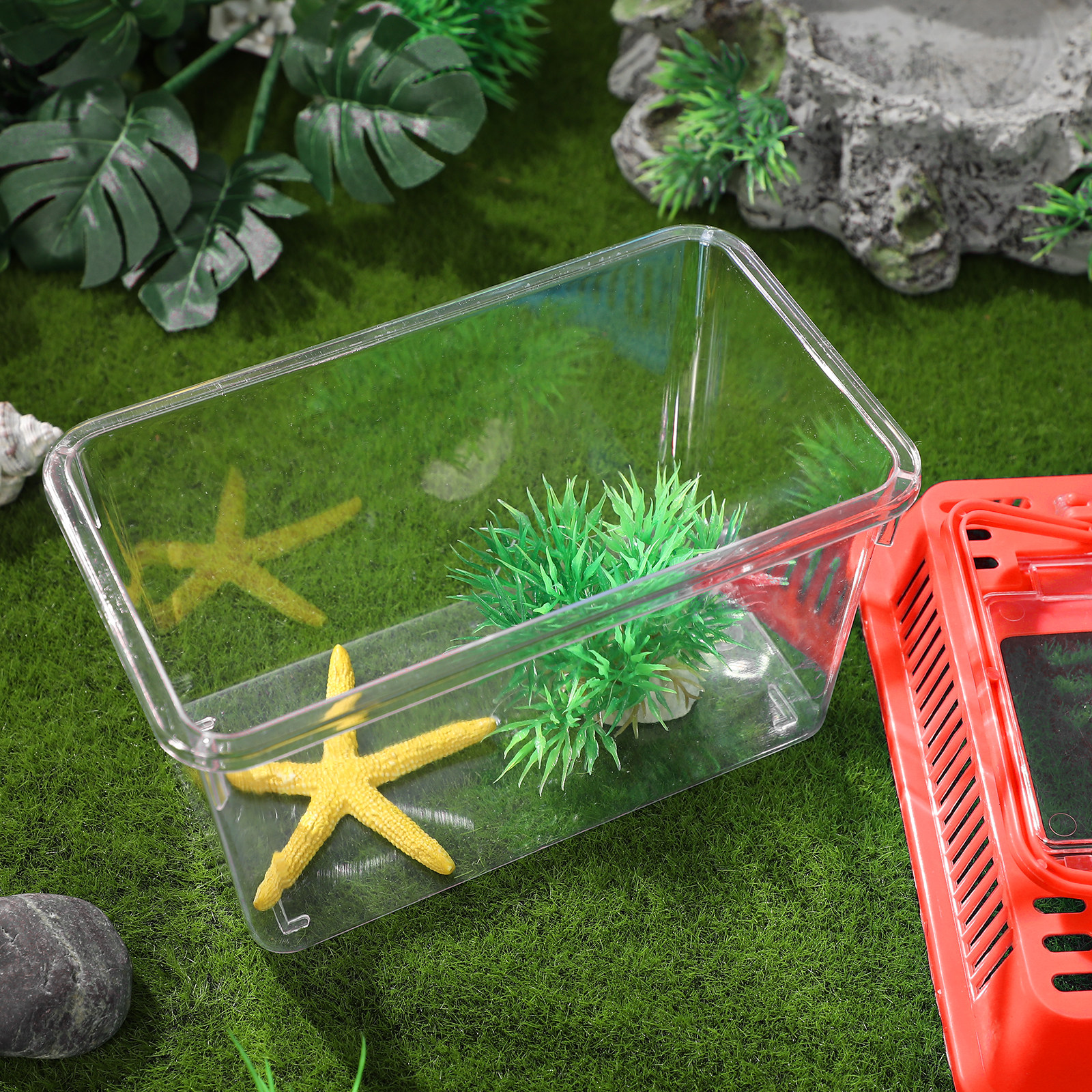 Transparent Mini Fish Tank Pla - огляд і ціна Aquarium Fish Goldfish