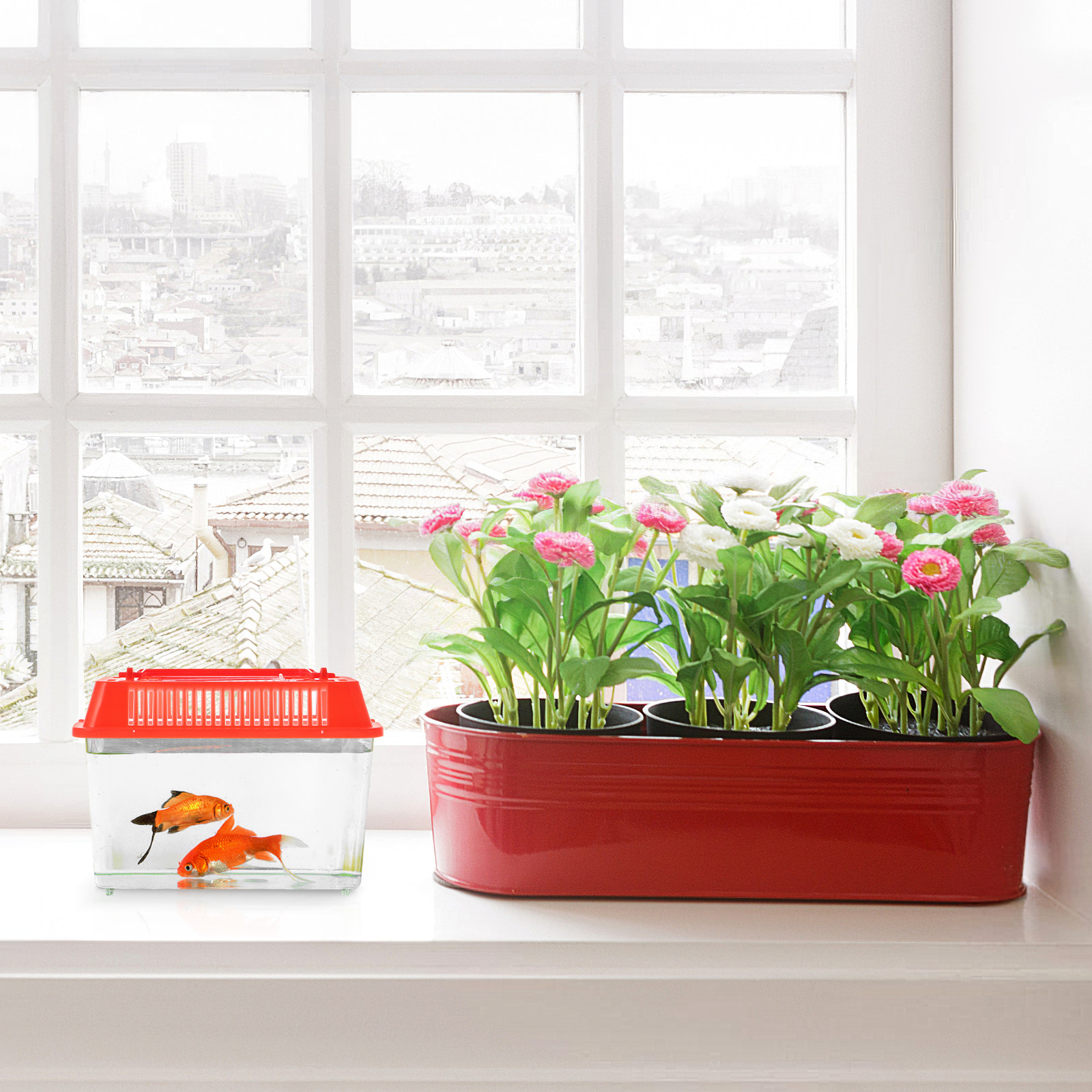 Transparent Mini Fish Tank Pla - огляд і ціна Aquarium Fish Goldfish