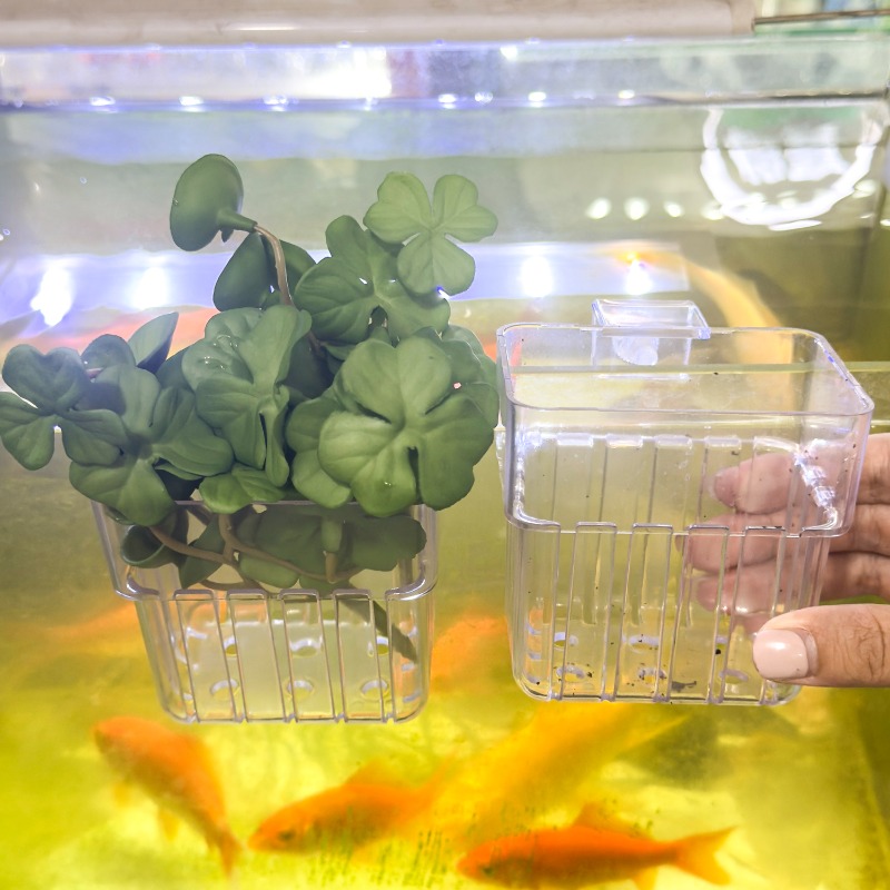 1/5pcs Aquarium Decoration Pla - огляд і ціна Box Fish In Aquarium