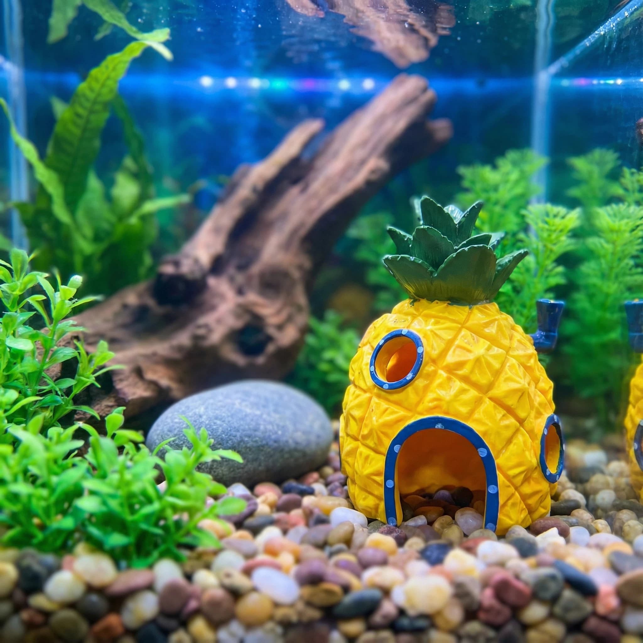 Pineapple House Aquarium Decor - огляд і ціна Aquarium Fish Hide