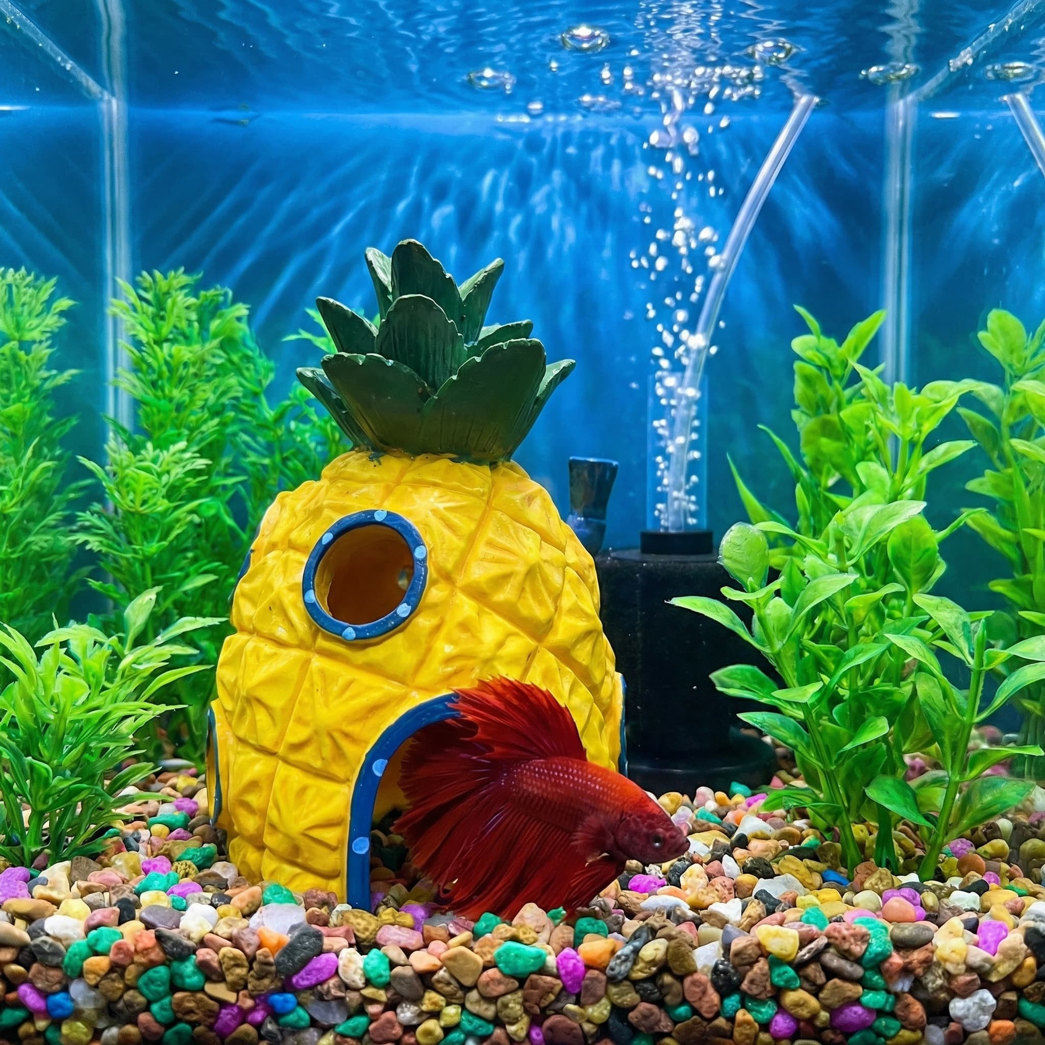 Pineapple House Aquarium Decor - огляд і ціна Aquarium Fish Hide