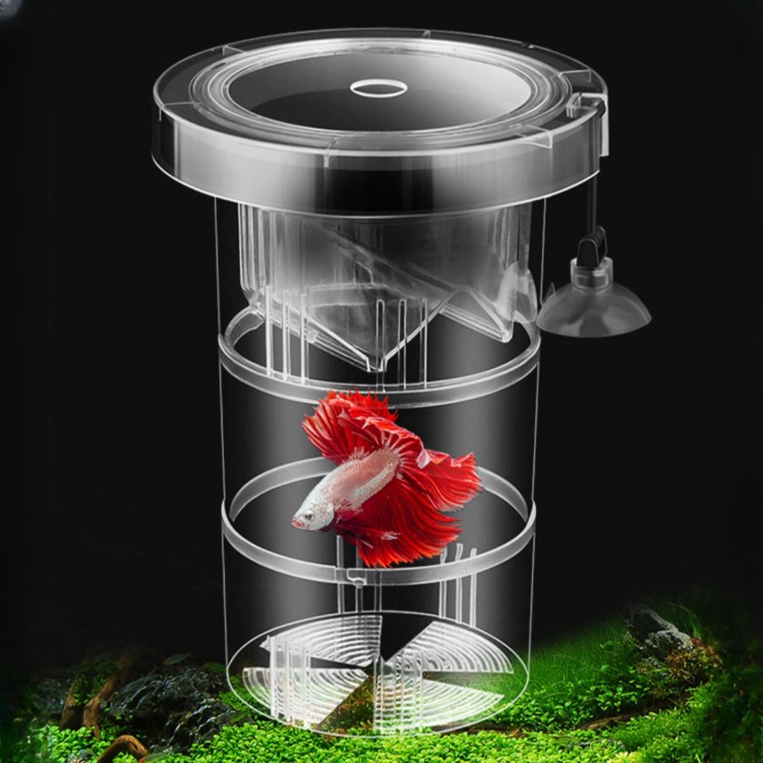 Acrylic Floating Fish Breeding - огляд і ціна Box Fish In Aquarium