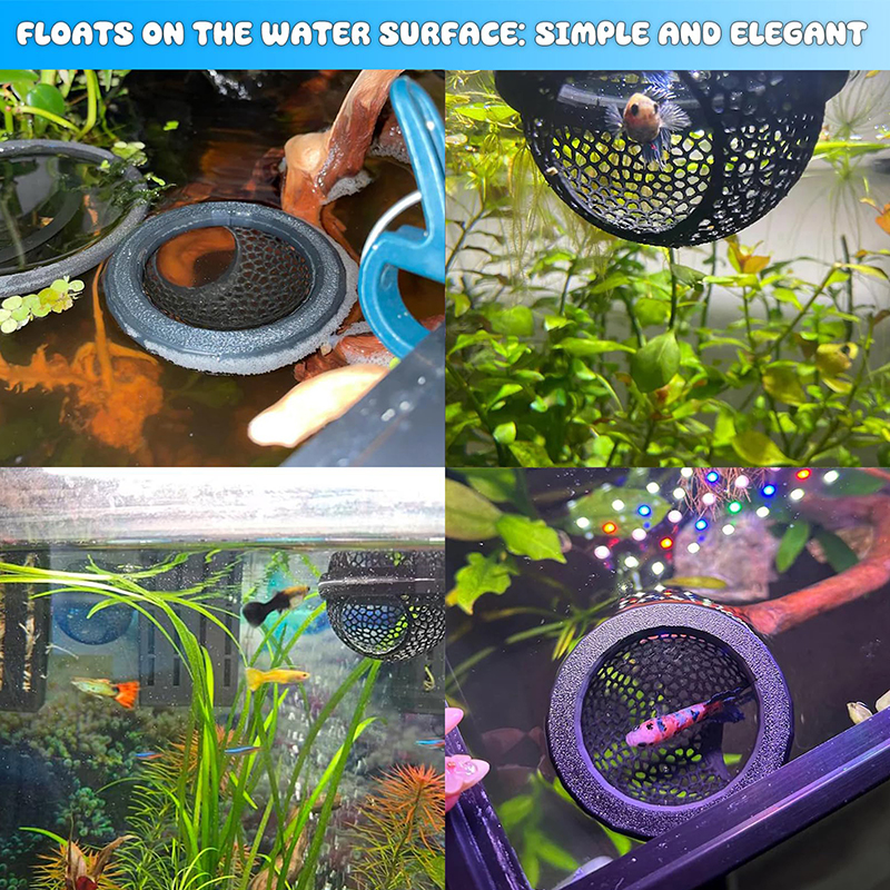 Ring FLoatinG Betta Hide Shrim - огляд і ціна Aquarium Fish Hide