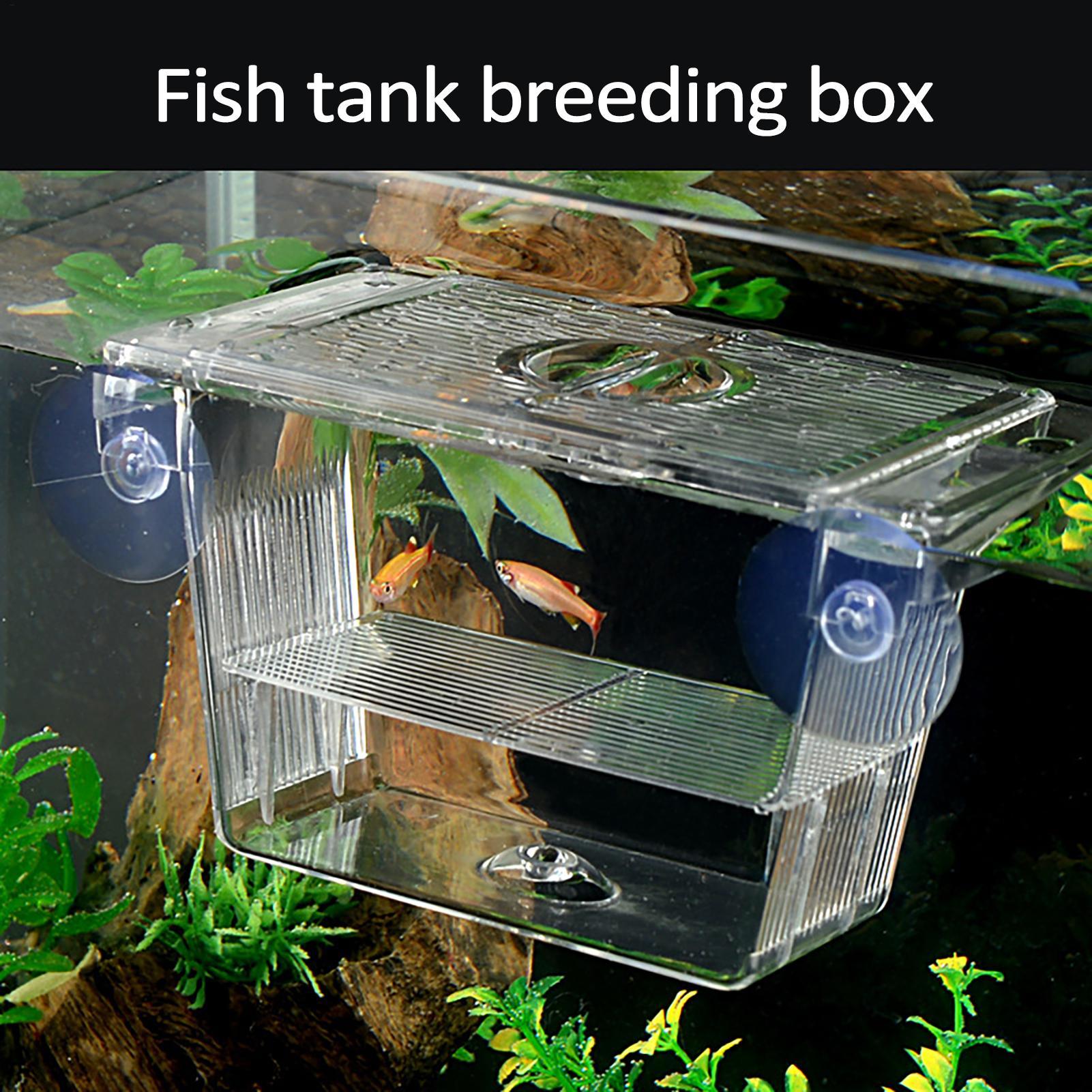 Breeder Box for Fish Tank Tran - огляд і ціна Aquarium Fish Jar