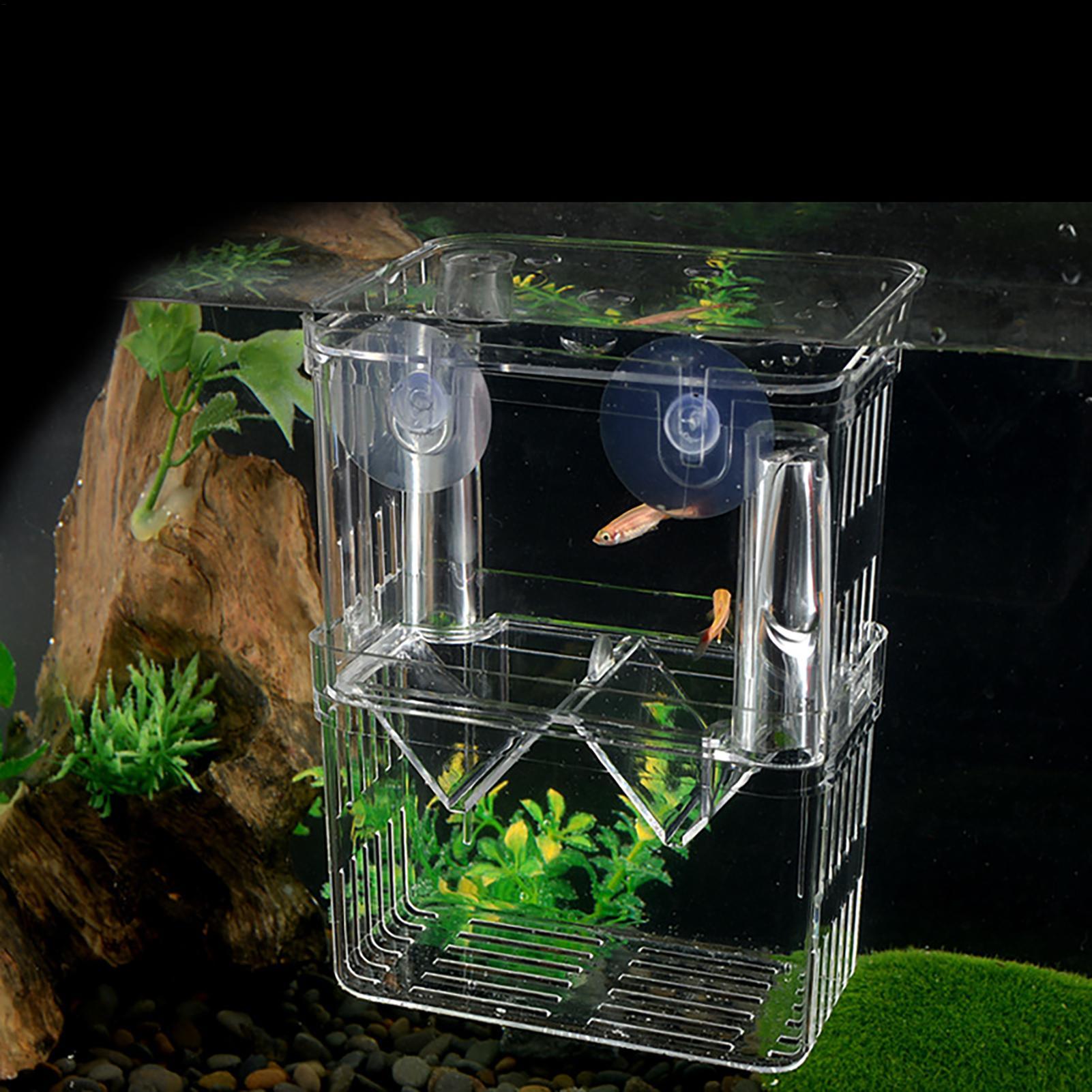 Breeder Box for Fish Tank Tran - огляд і ціна Aquarium Fish Jar