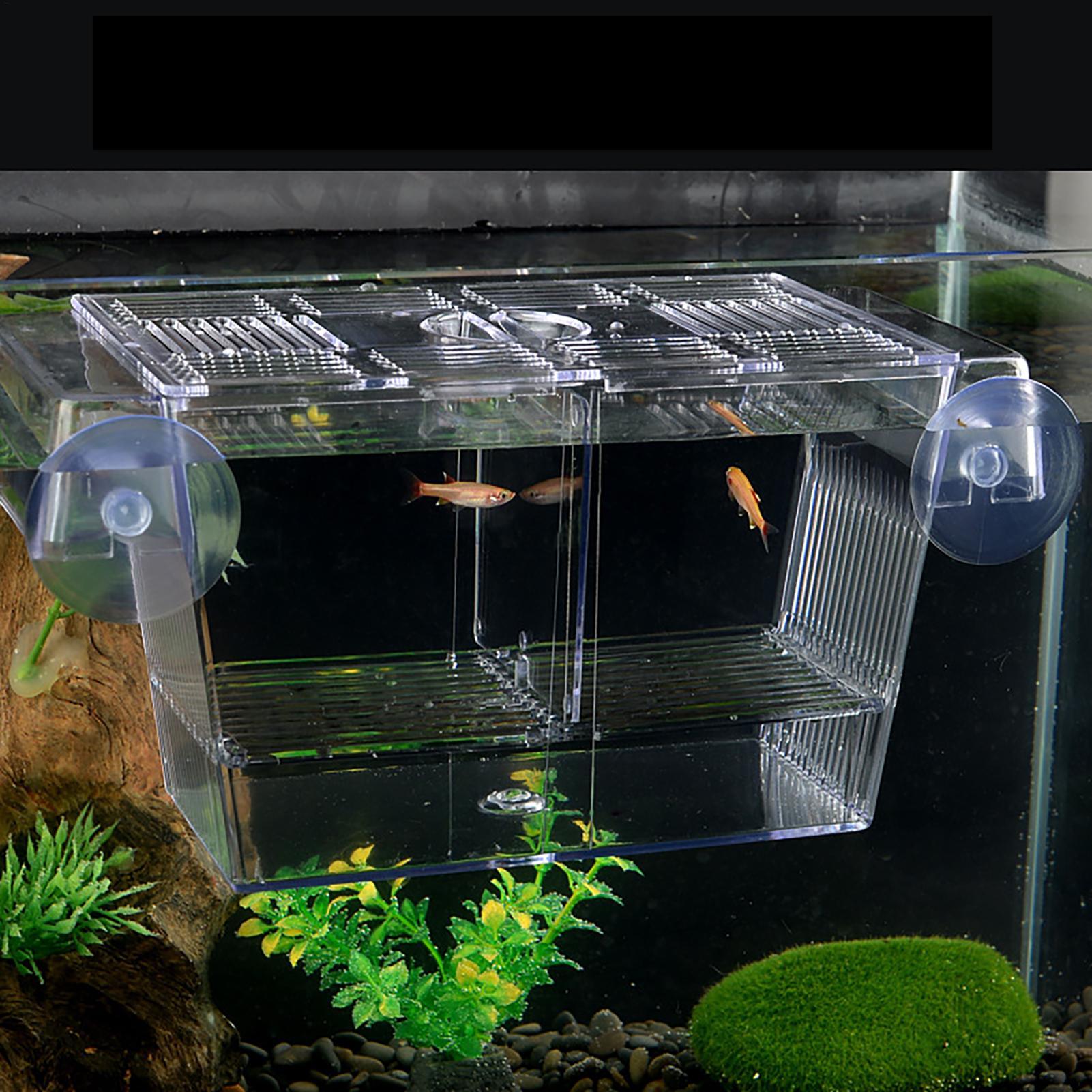 Breeder Box for Fish Tank Tran - огляд і ціна Aquarium Fish Jar