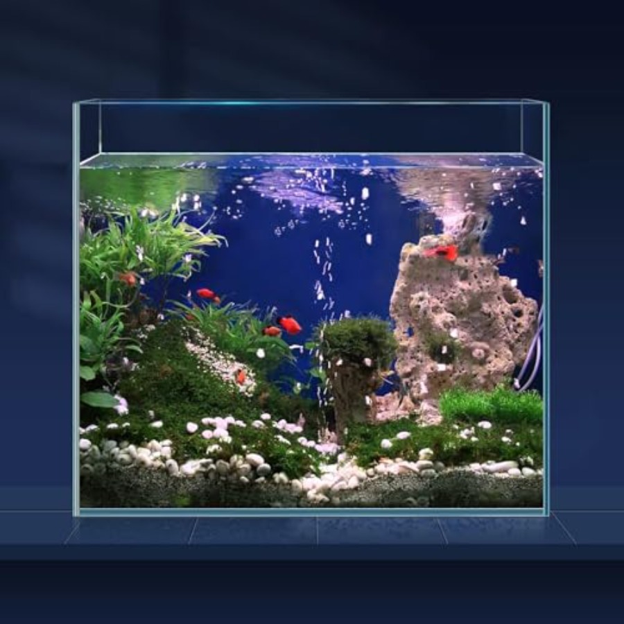 6.5 Gallon Ultra Clear Glass F - огляд і ціна Aquarium Fish Goldfish