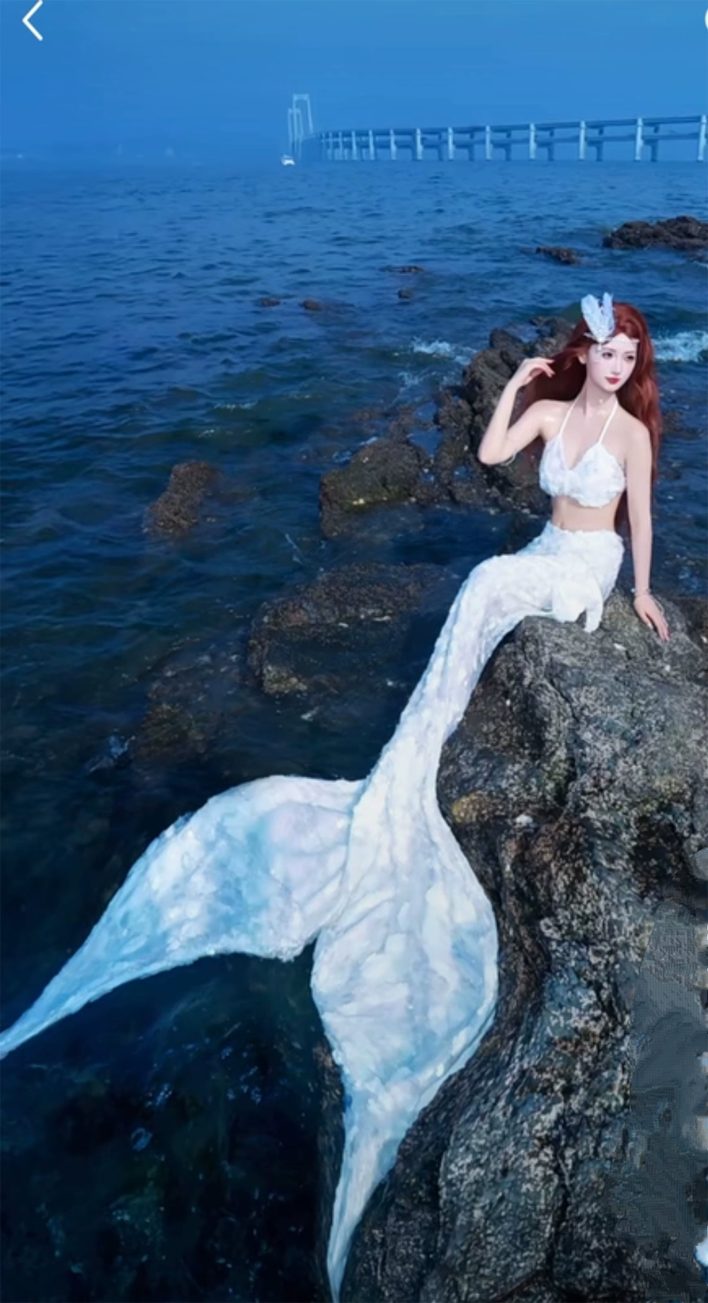 New Sequined Mermaid Big Tail  - огляд і ціна Aquarium Fish Goldfish