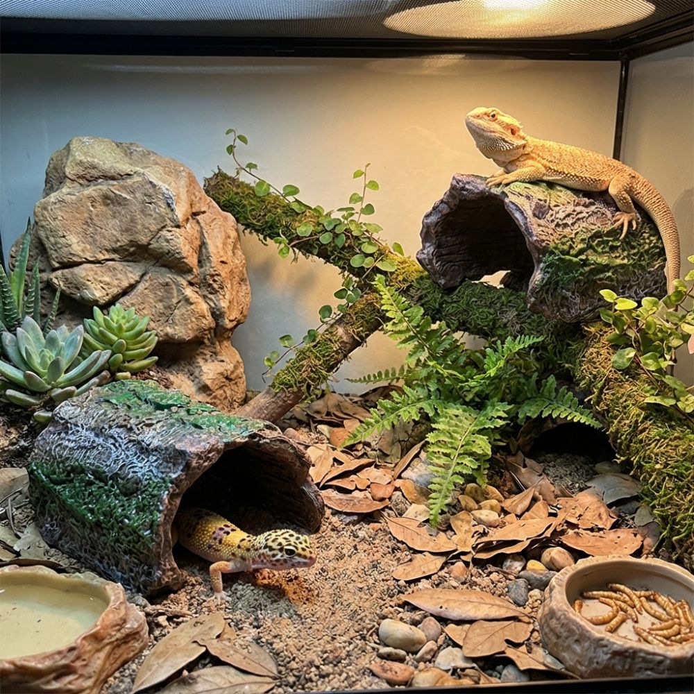 Simulation Reptile Hideout Hol - огляд і ціна Aquarium Fish Hide