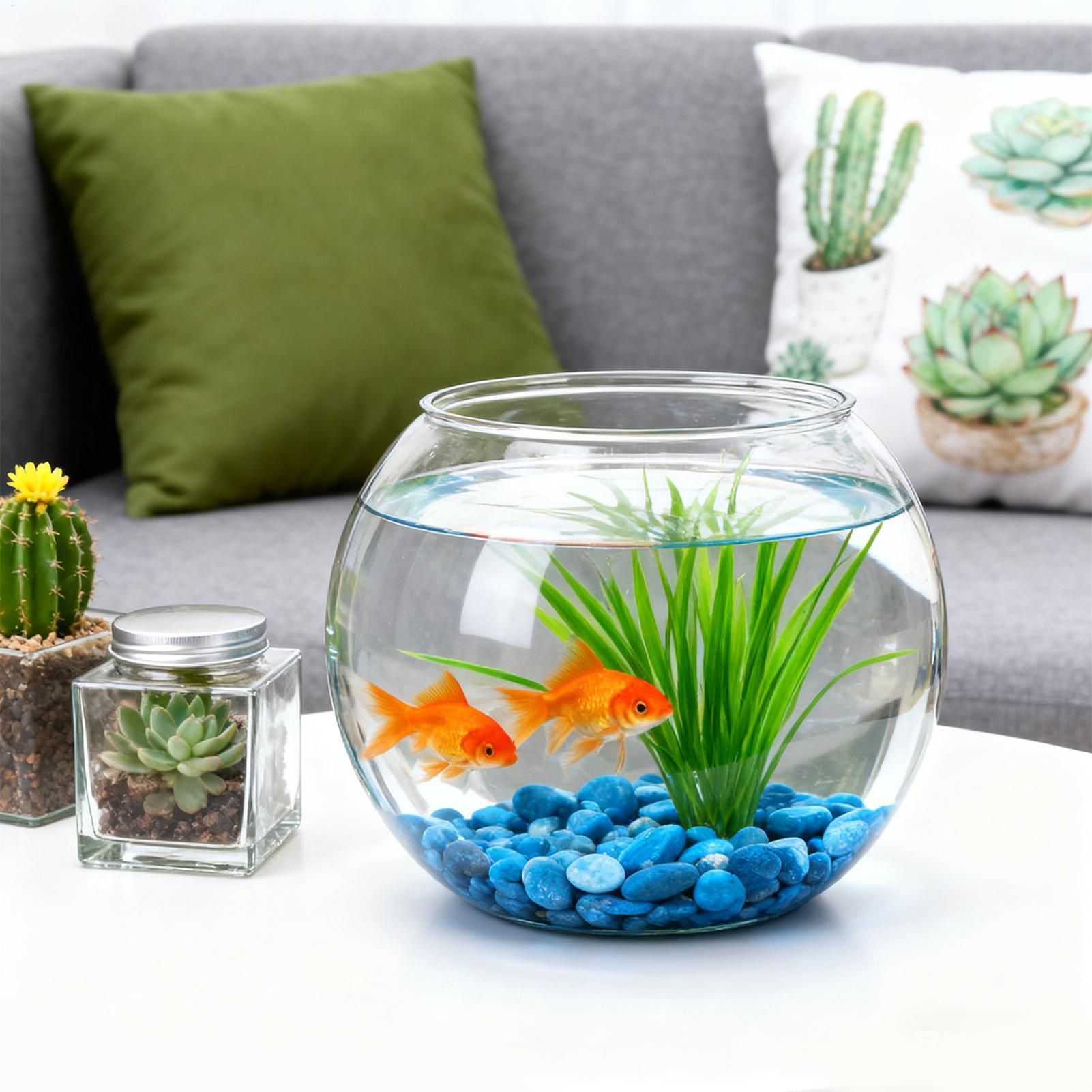 Bubble Bowl Space-Saving Aquar - огляд і ціна Aquarium Fish Jar