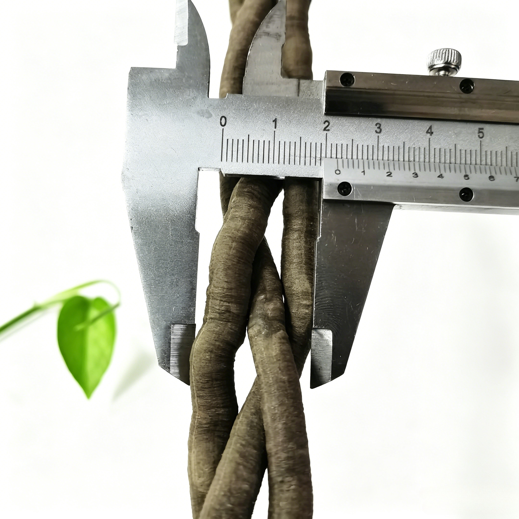 100cm Artificial Vine Plant Cl - огляд і ціна Aquarium Fish Names