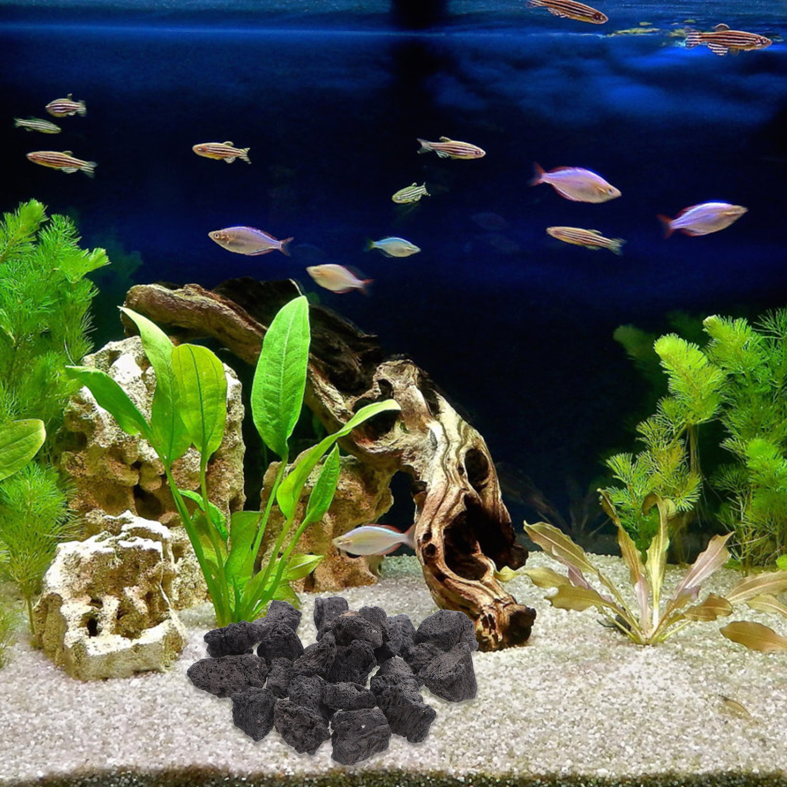 1Pack Volcanic Stone Fish Tank - огляд і ціна Aquarium Decoration Rock