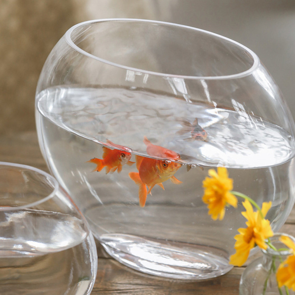 Elegant Clear Glass Fish Tank  - огляд і ціна Aquarium Fish Goldfish